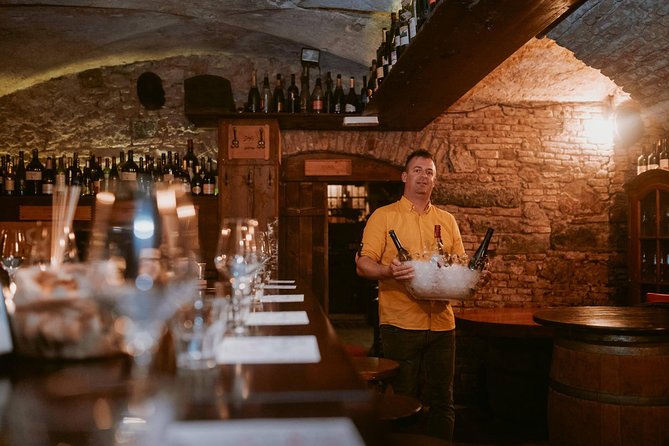 2-Hour Interactive Wine Tasting Experience in Ljubljana - Who will enjoy this wine experience most?