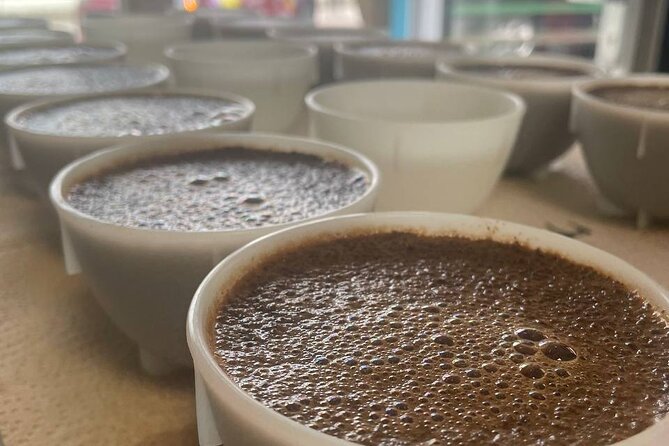 2-Hour Specialty Coffee tasting in Ljubljana - What happens during the two-hour coffee session