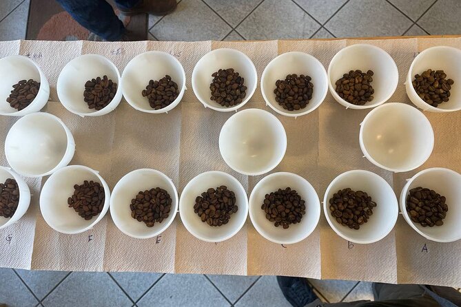 2-Hour Specialty Coffee tasting in Ljubljana - Learning to taste coffee like a professional