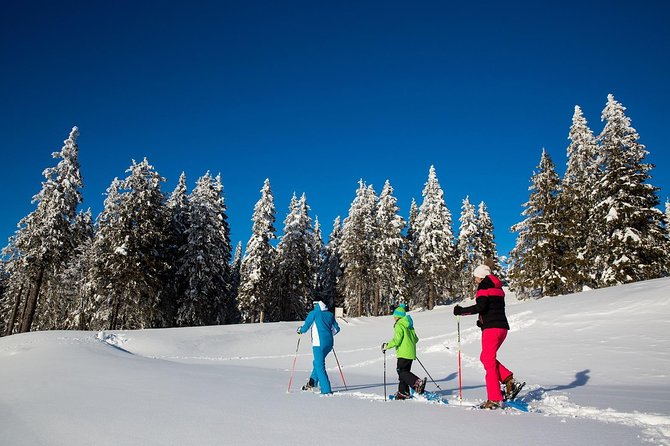 3-Hour Guided Snowshoeing Adventure in the Slovenian Alps - A Winter Walk Beyond Bled’s Lakeshore