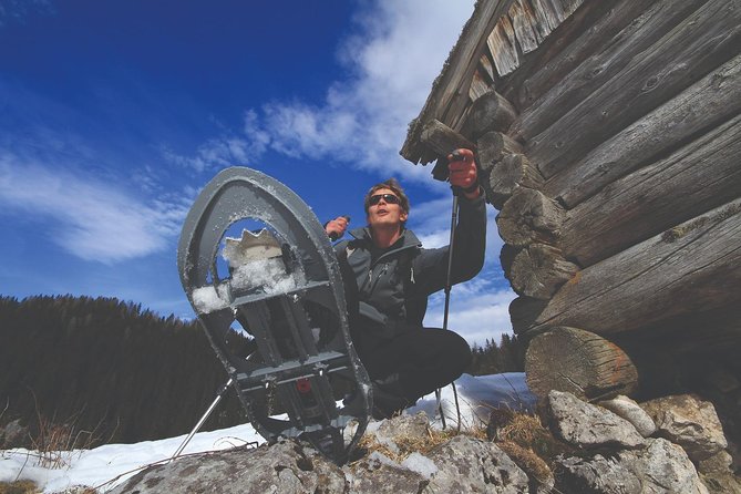 3-Hour Guided Snowshoeing Adventure in the Slovenian Alps - Choosing Between a Gentle Walk and a Viewpoint Climb