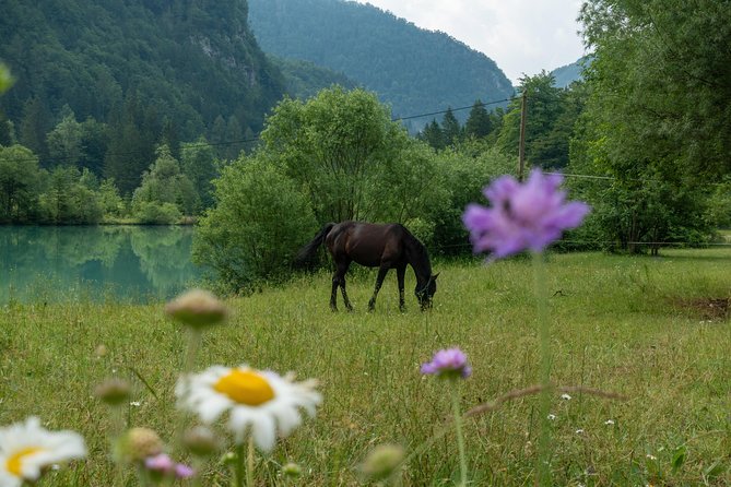 7 Alpine Wonders- Day Tour Bled, Soca valley, Slovenia - Why this Bled day tour covers so much