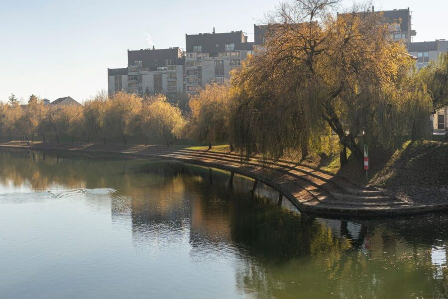 Best of Ljubljana: Private tour with Ljubljana born guide - Dragon Bridge and Ljubljana’s symbols