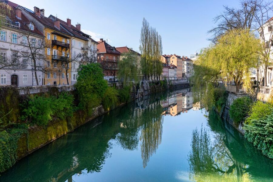 Best of Ljubljana: Private tour with Ljubljana born guide - Choosing Roman, postwar, or contemporary Ljubljana