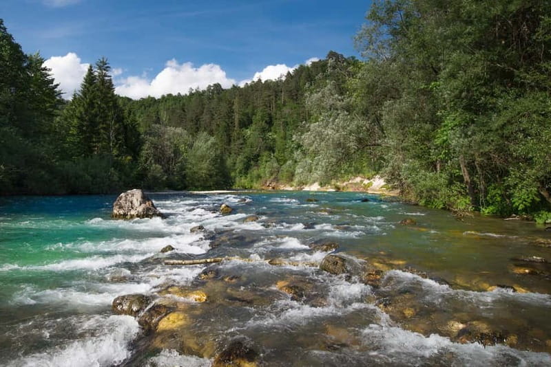 Bled: Europe's Longest Zipline Adventure over Dolinka River - Practical preparation for a smooth morning or afternoon
