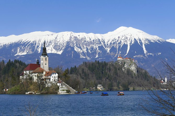 Bled Lake Day Trip From Ljubljana - The essential Bled cake stop