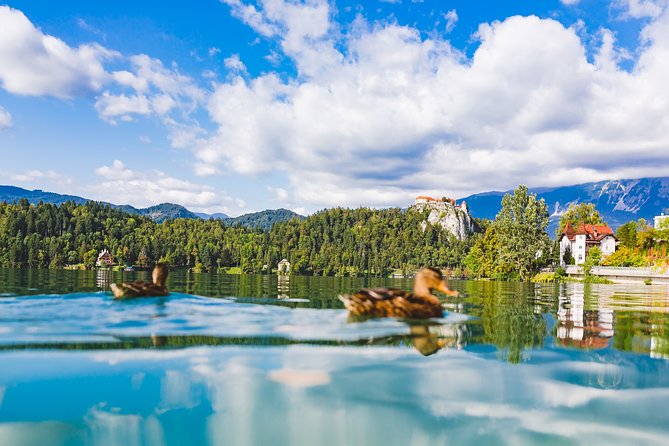 Bled lake, island & castle | Private half day trip from Ljubljana - Key points at a glance
