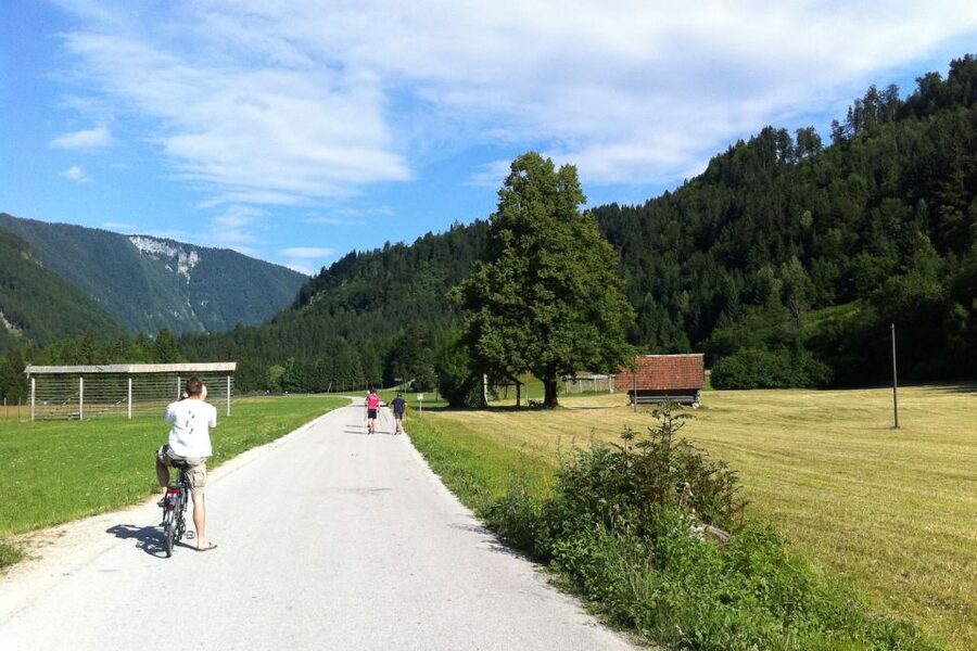 Bled: Mountain Bike Rental - A flexible way to see more than Lake Bled