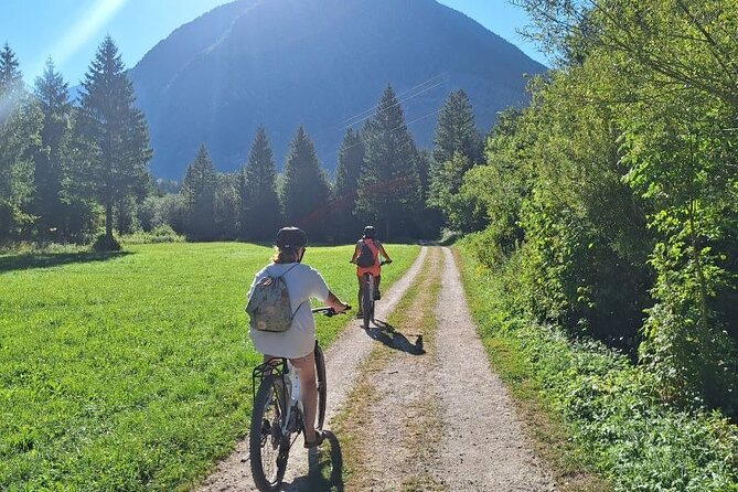 Bovec Private E-bike tour - Exploring hidden gems - Walking through Šunik Water Grove