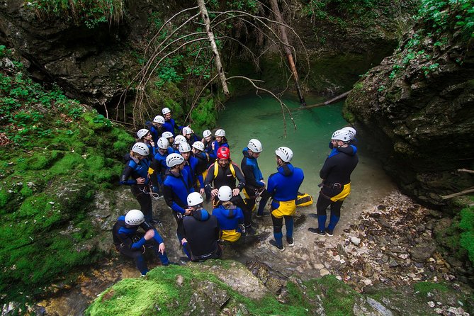 Canyoning Lake Bled Slovenia - Free Photos and Videos - A forest hike before the action starts