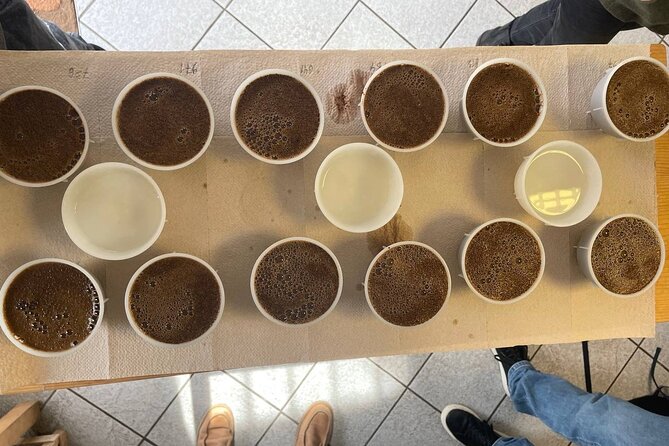 Coffee Sensory Training in Ljubljana - A seven-hour schedule built around your senses