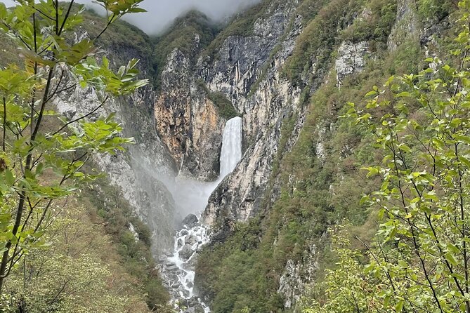 Day Trip in Triglav National Park from Bled - Zelenci brings water, reeds, and quiet