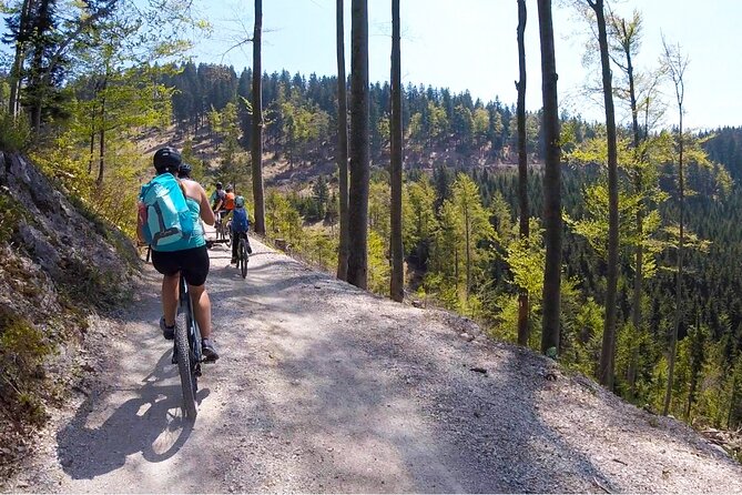 E-bike tour Škofja Loka - What the $144.57 price gets you