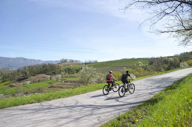 E-bike Vipava River Tour - How hard is the cycling?