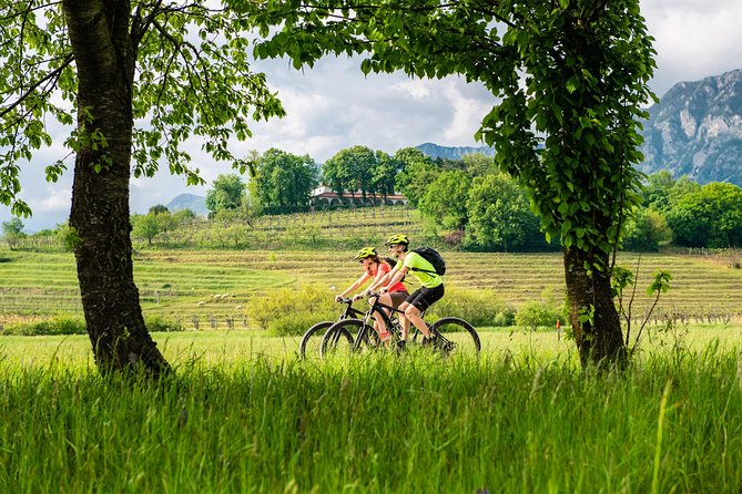 E-bike Vipava River Tour - Riding toward medieval Vipavski Križ