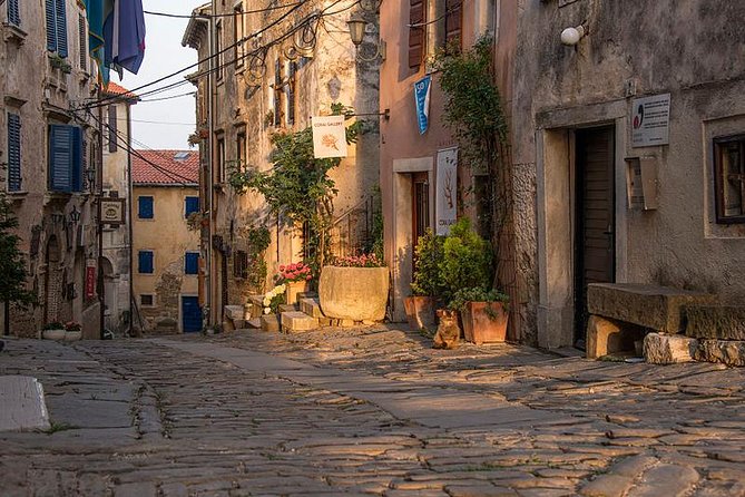 Flavours of Istria Tasting Experience from Koper - A full eight hours with the driving handled