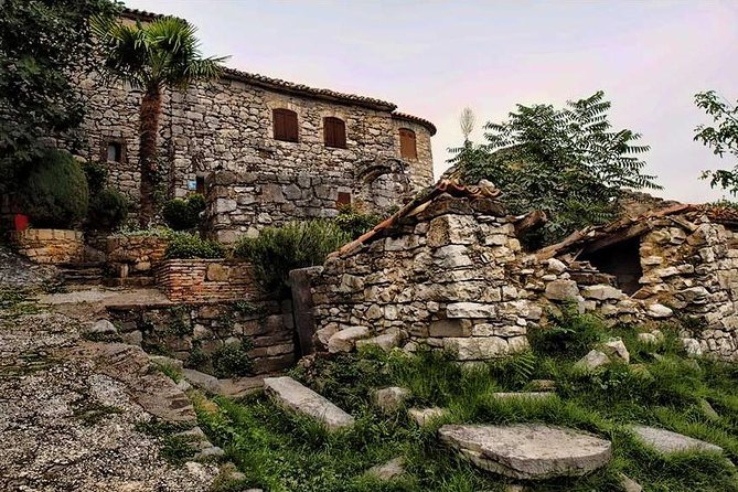 Flavours of Istria Tasting Experience from Koper - Motovun and the flavor of truffle country