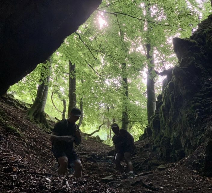 From Bled: Half-Day Pokljuka Gorge Trail Hike (Private) - Key points to know before you book