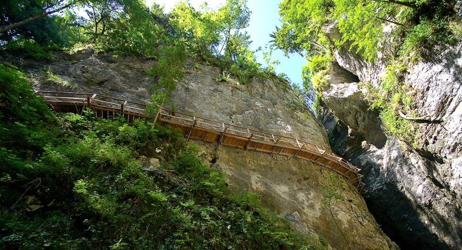 From Bled: Half-Day Pokljuka Gorge Trail Hike (Private) - Why Pokljuka Gorge makes a good change from Vintgar