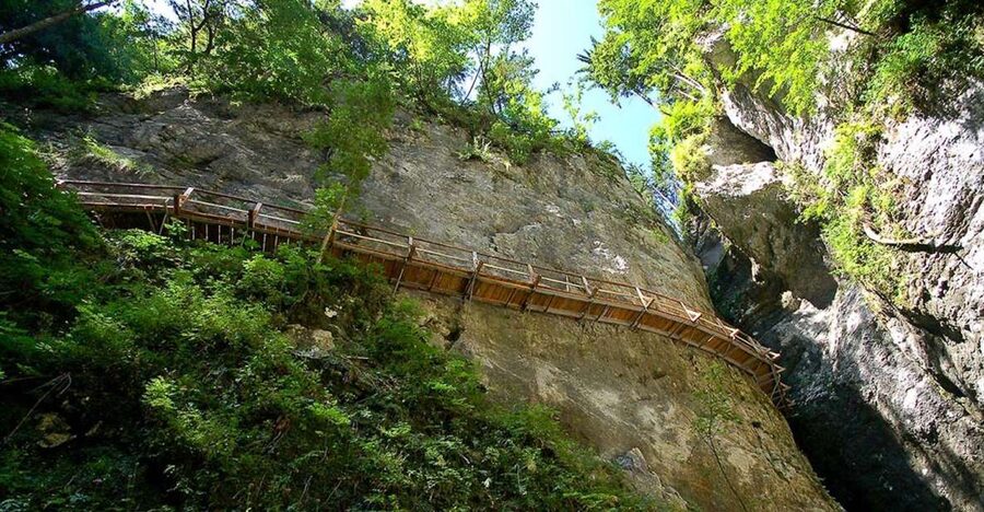 From Bled: Half-Day Pokljuka Gorge Trail Hike (Private) - A moderate hike through forest and water