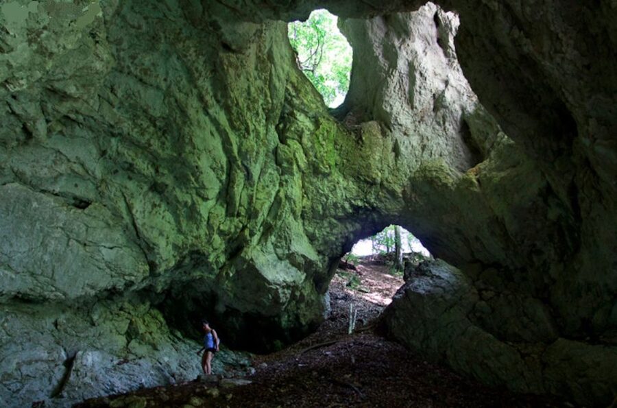 From Bled: Half-Day Pokljuka Gorge Trail Hike (Private) - Leaving Bled for the Discovery Trail