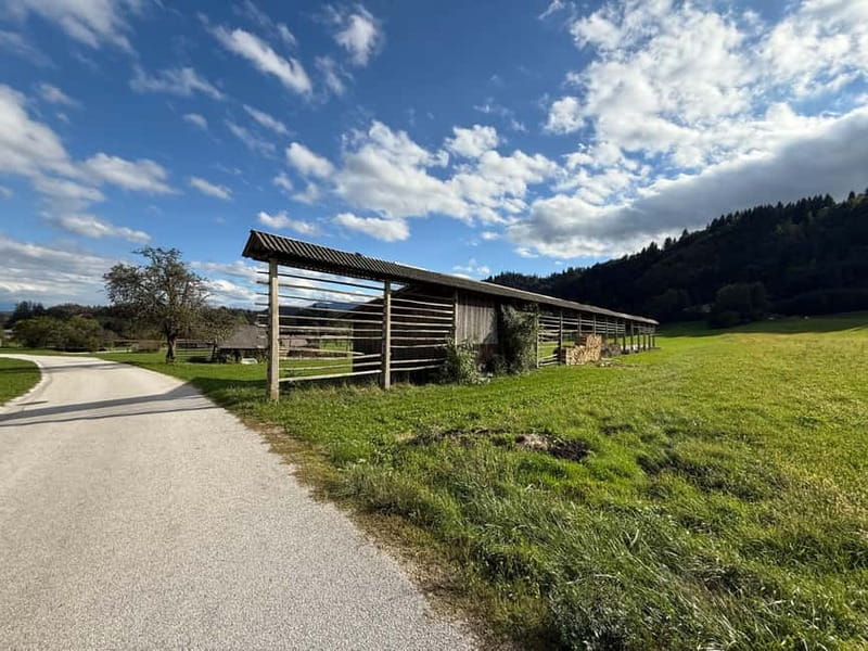 From Bled: Self Guided E-Bike Trip to Triglav National Park - What the electric bike changes
