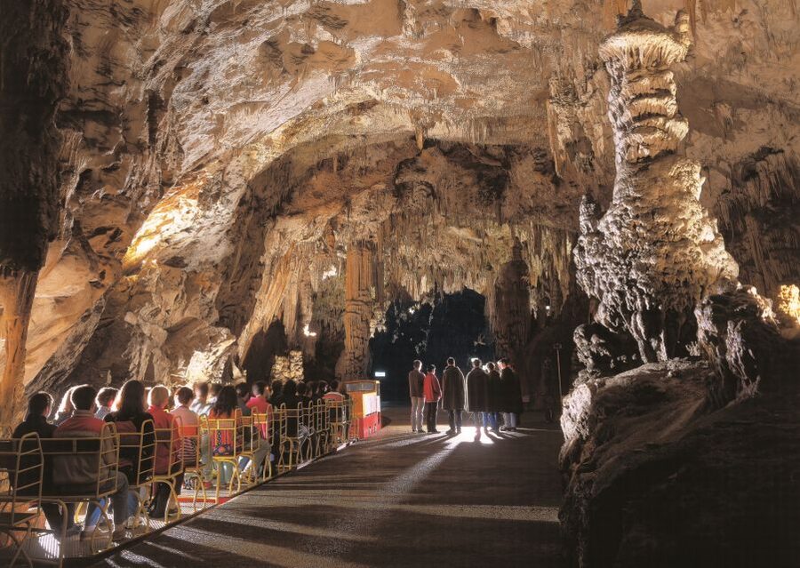 From Ljubljana: Postojna Cave, Predjama Castle and Lake Bled - Key points at a glance