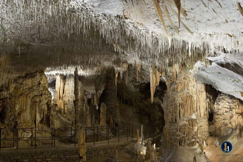 From Ljubljana: Postojna Cave, Predjama Castle, & Piran Tour - Postojna Cave and the underground train ride
