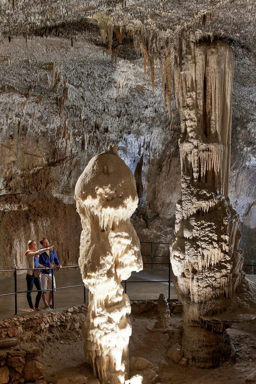 From Ljubljana: Postojna Cave, Predjama Castle, & Piran Tour - Who will enjoy this day trip most