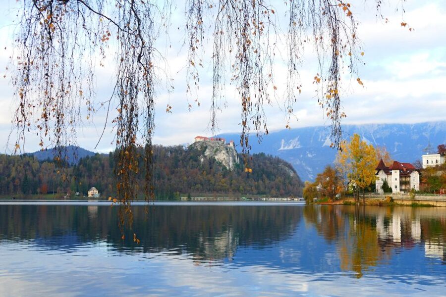 From Ljubljana: Private Bled Lake Day Trip - Bled cream cake and the optional castle stop