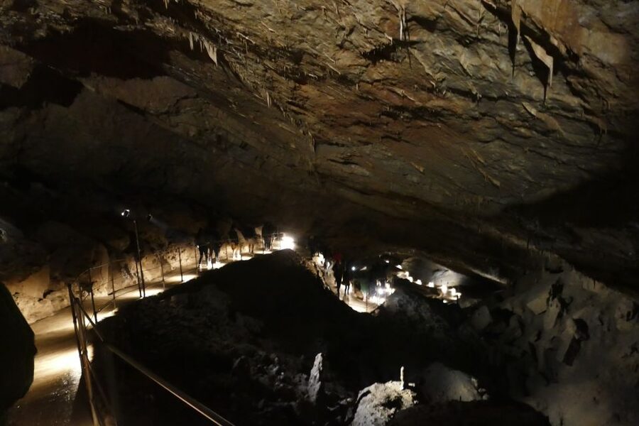 From Ljubljana: Skočjan Caves Half-Day Trip - Entering the caves at 10 AM