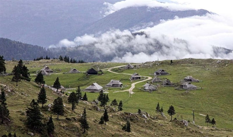From Ljubljana: Velika Planina Guided Hike - Why Velika Planina makes a good Ljubljana escape