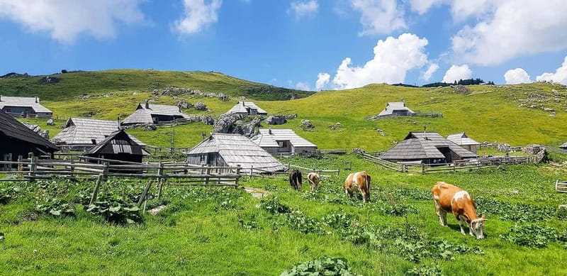 From Ljubljana: Velika Planina Guided Hike - The one-hour drive from Ljubljana