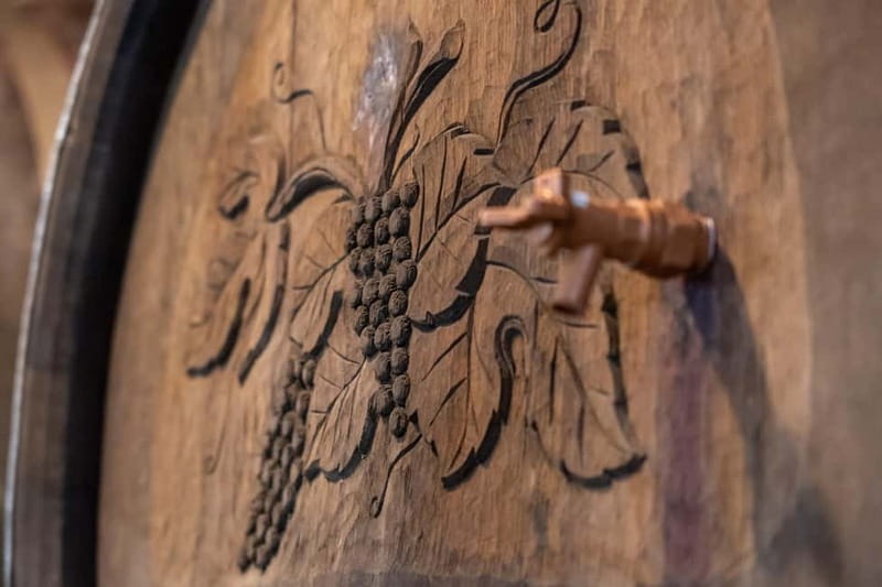 From Ljubljana: Vipava Valley Wine Express Tour - How much value do you get for $105?