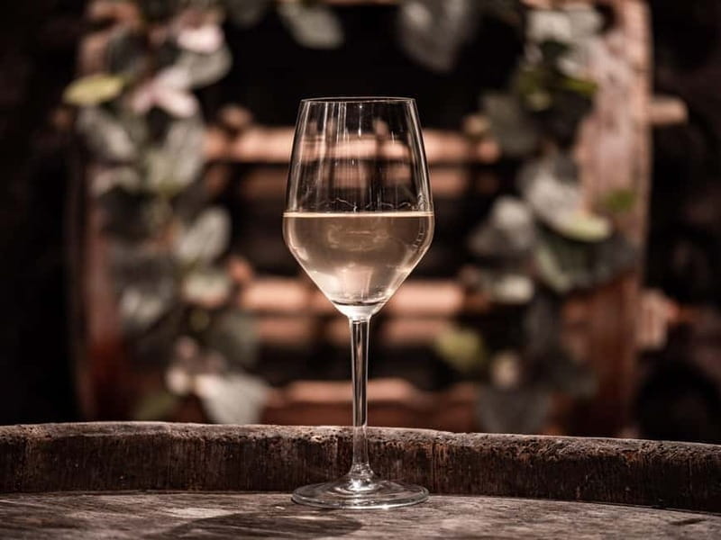 From Ljubljana: Vipava Valley Wine Express Tour - A few practical tips before you go