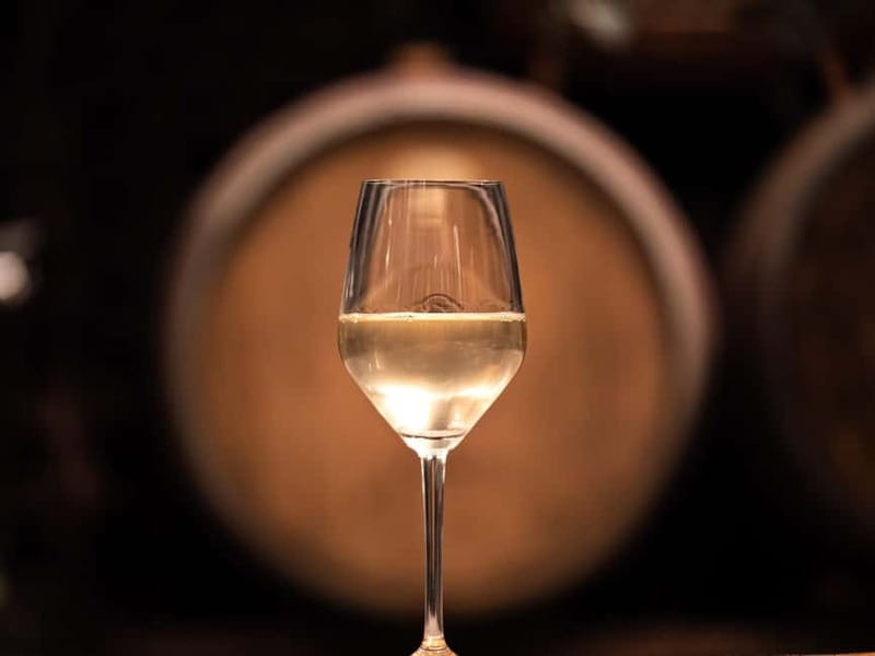 From Ljubljana: Vipava Valley Wine Express Tour - Why the Vipava Valley makes good wine country