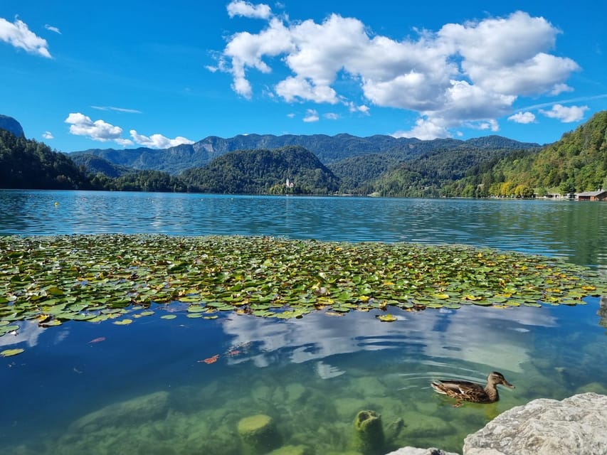 From Zagreb: Highlights Day Tour to Bled and Ljubljana - Key points to know before booking