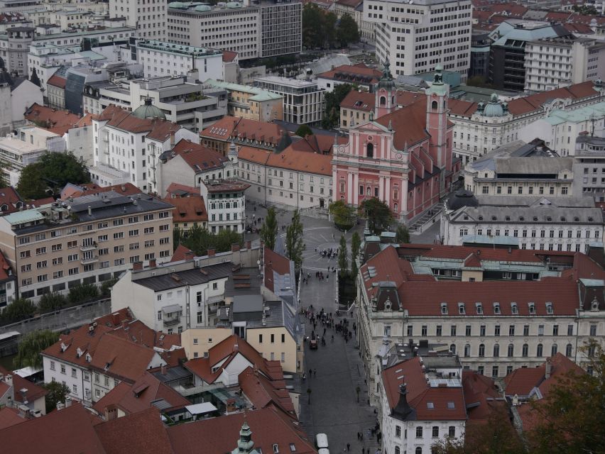 From Zagreb: Postojna Cave, Bled Lake & Ljubljana - Private - Private transport and the driver’s role