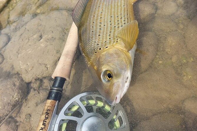 Full Day Private Guided Fishing Charter along the Isonzo Front - Marble trout, rainbow trout, and the character of the river