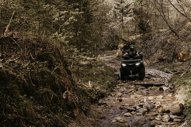 Full-Day Quad Rental in Bled - What the full day feels like