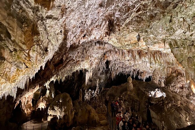 Full-day tour of Postojna Cave and Bled Lake From Ljubljana - Postojna Cave and its underground train