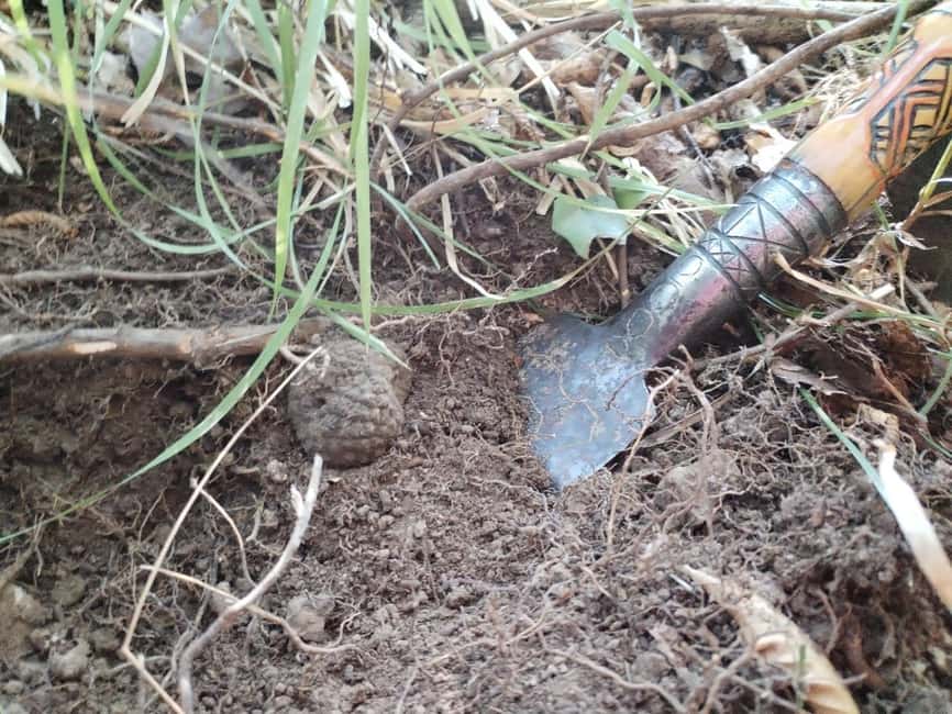 Gažon to Istria: Truffle Hunting, Cooking & Tasting - The pergola is part of the appeal