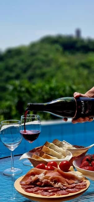 Goriška Brda: Wine Tasting with Local Snacks - Key points at a glance