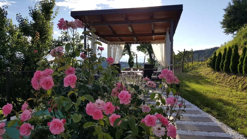 Goriška Brda: Wine Tasting with Local Snacks - The food is more than a token snack