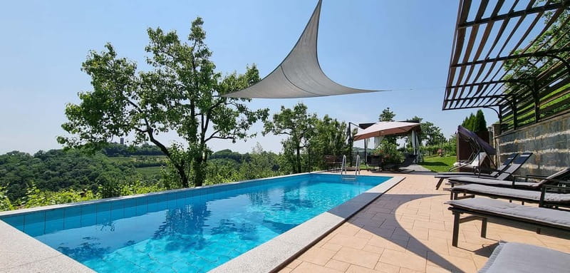 Goriška Brda: Wine Tasting with Local Snacks - What the 90-minute visit is likely to feel like