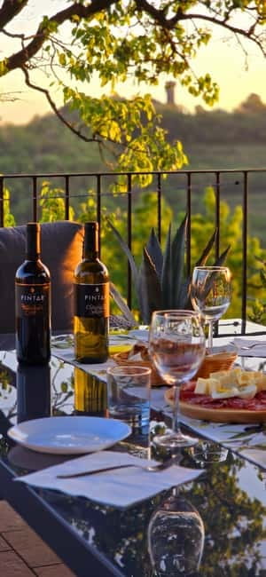 Goriška Brda: Wine Tasting with Local Snacks - Who will enjoy this most