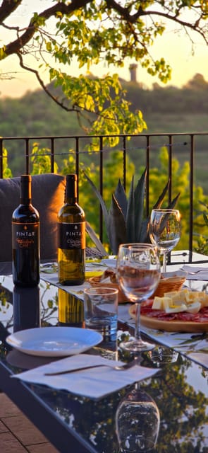 Goriška Brda: Wine Walk and Tasting - What the Two-Hour Schedule Really Gives You