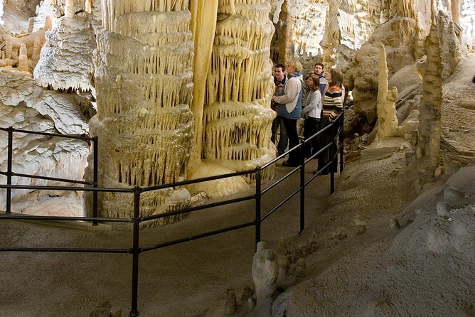Group tour to Postojna Cave from Koper - with unique cave train - The unusual underground wildlife