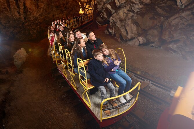 Half day tour to Postojna cave - Private tour from Koper - What private really means on this outing