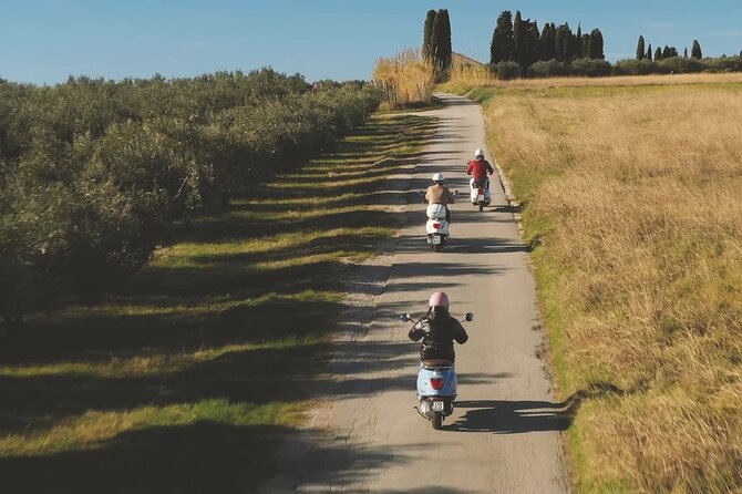 Half Day Vespa Countryside Tour and Tastings in Istria - What the $336.39 price really covers